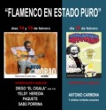 Flamenco en Estado Puro